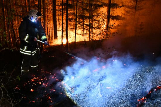 Russia Wildfires