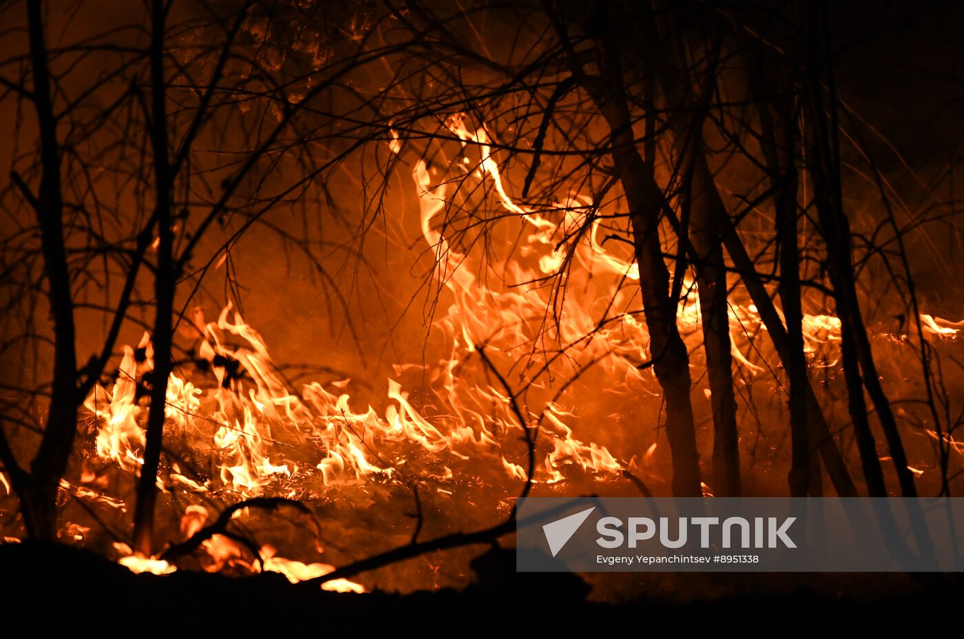 Russia Wildfires