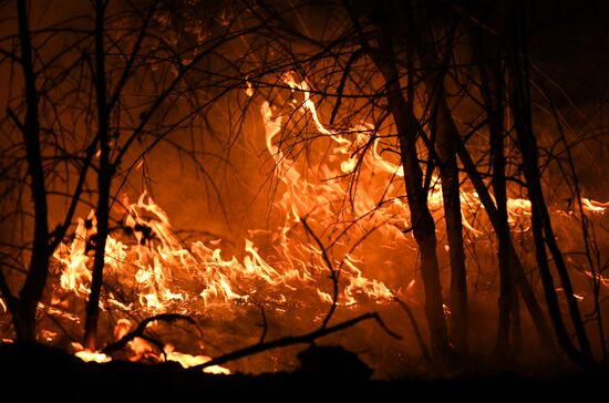 Russia Wildfires