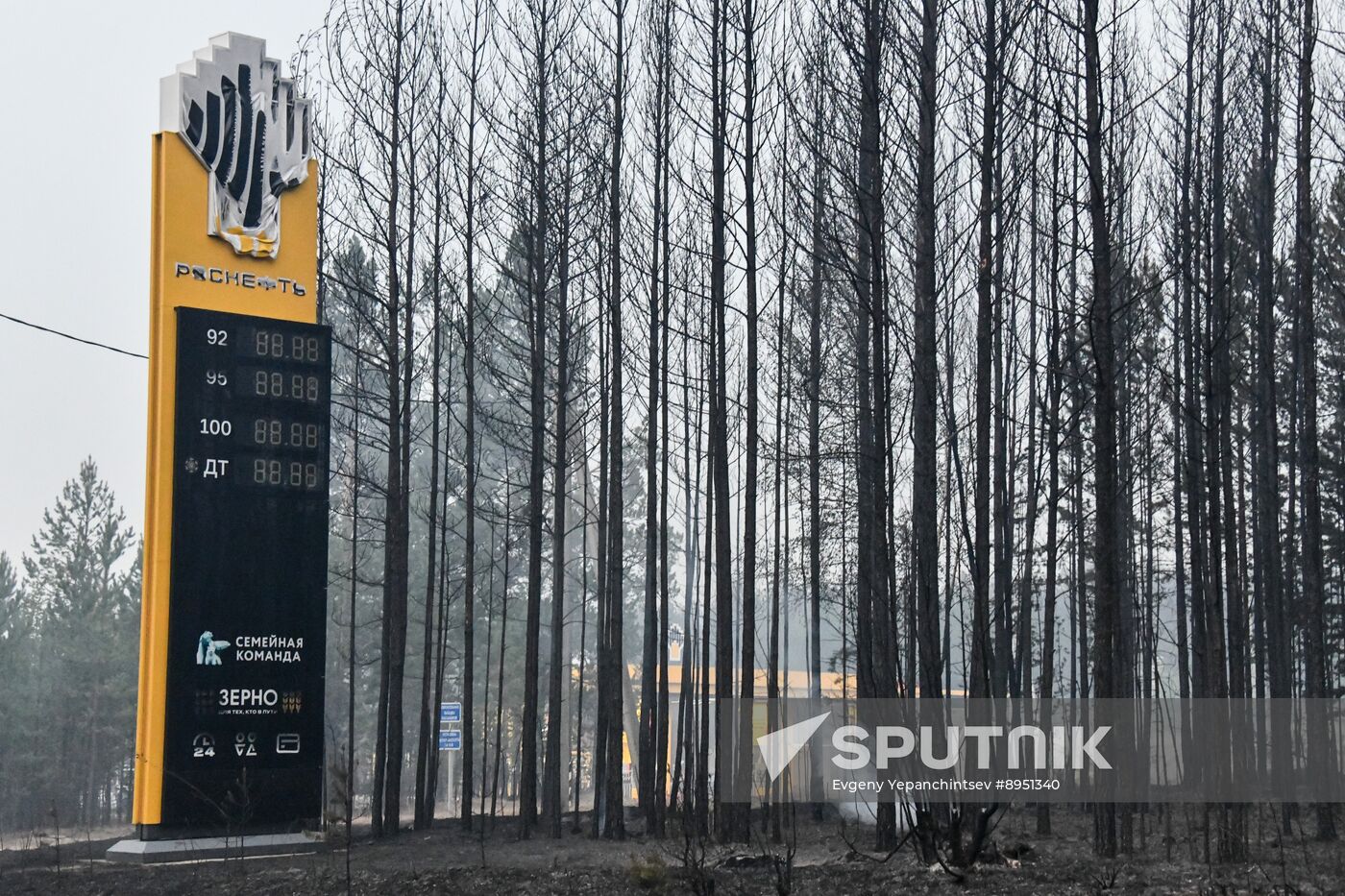 Russia Wildfires