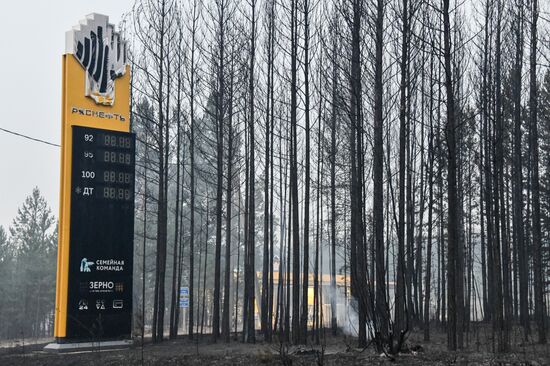 Russia Wildfires