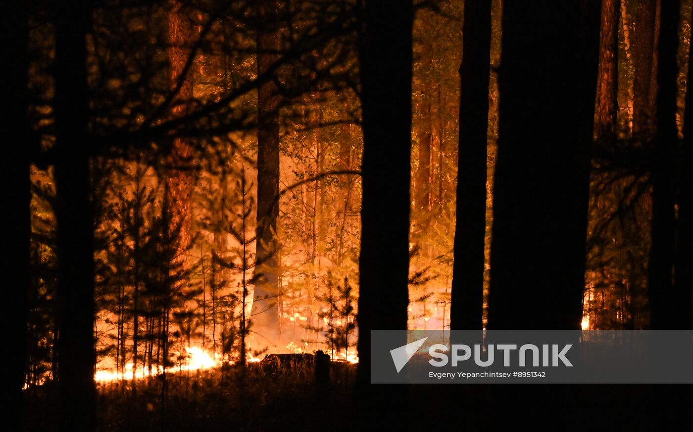 Russia Wildfires