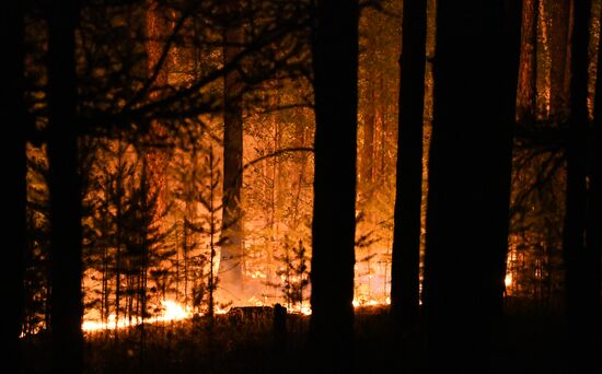 Russia Wildfires