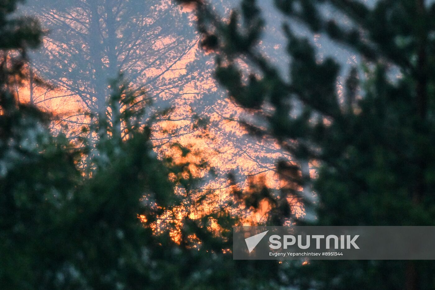 Russia Wildfires