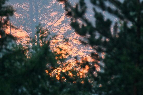 Russia Wildfires