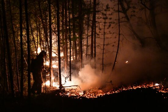 Russia Wildfires