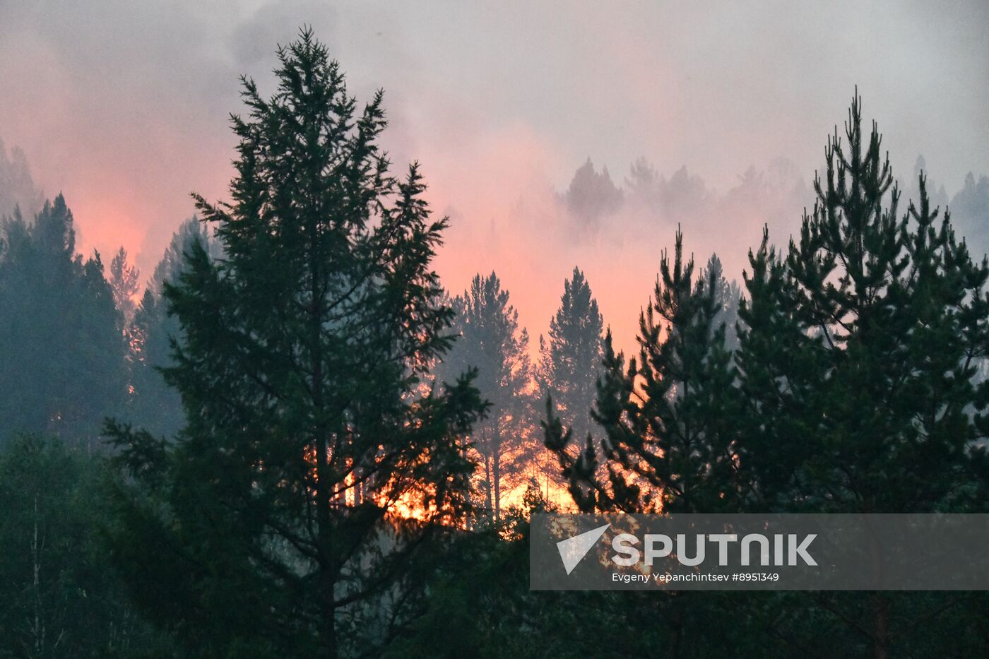 Russia Wildfires