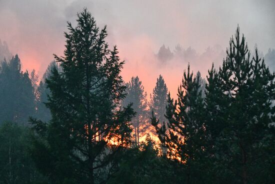 Russia Wildfires