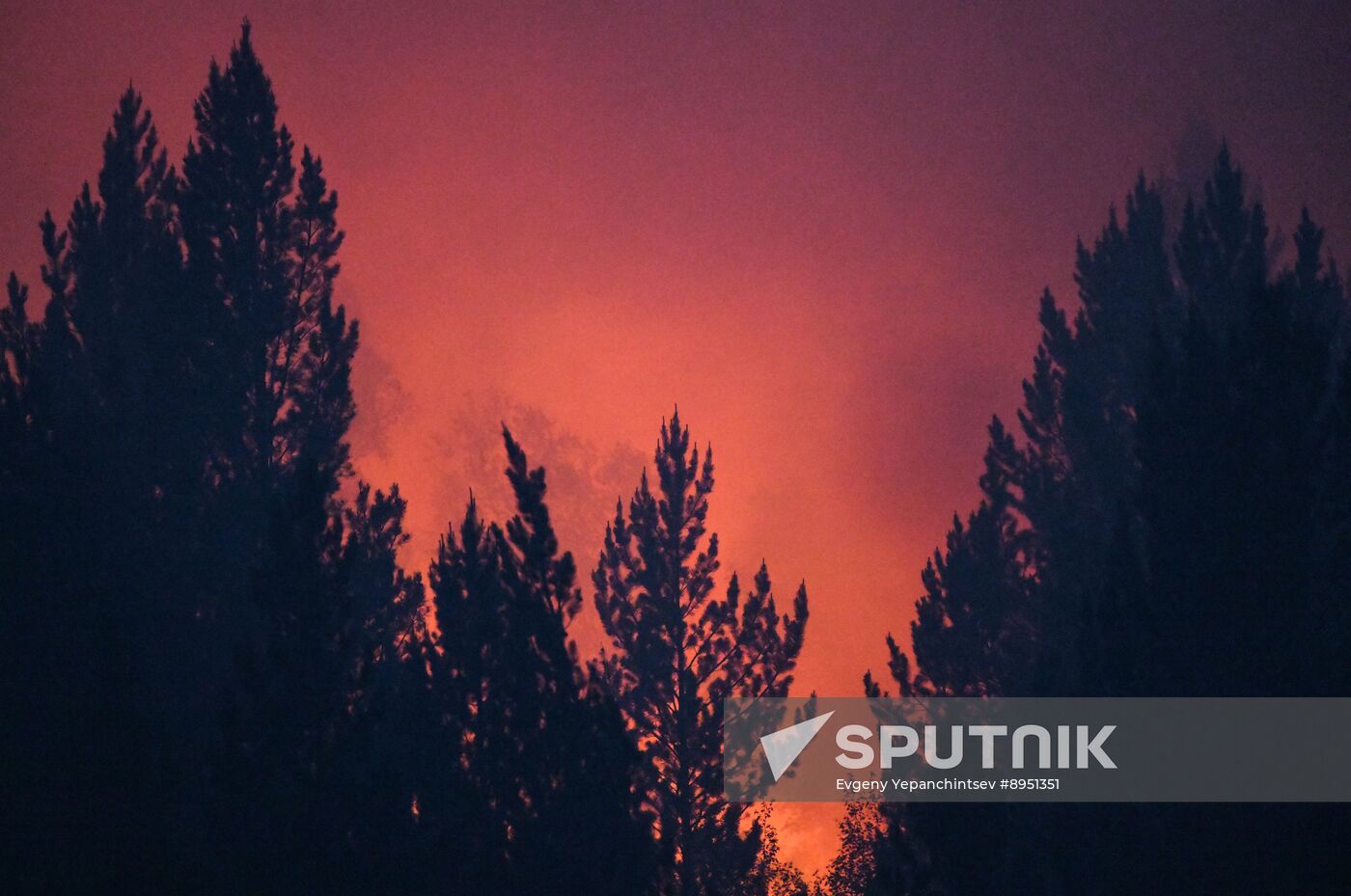 Russia Wildfires