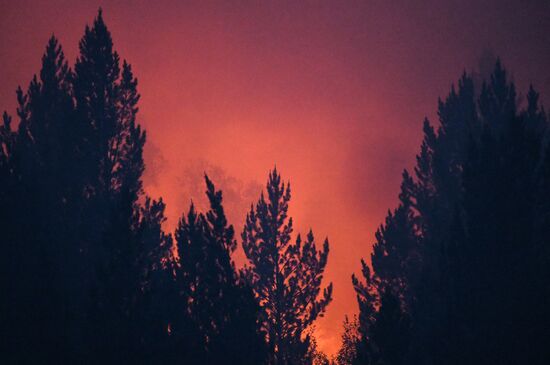 Russia Wildfires