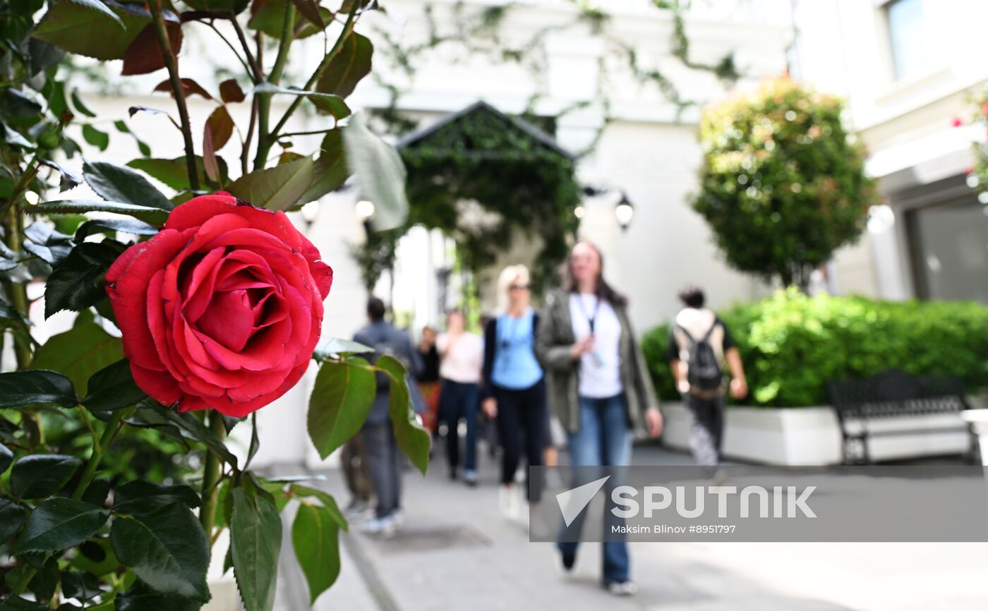Russia Daily Life