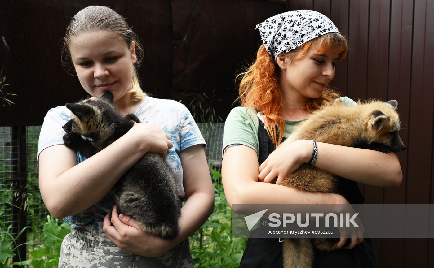 Russia Animal Farm