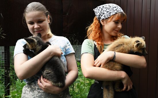 Russia Animal Farm