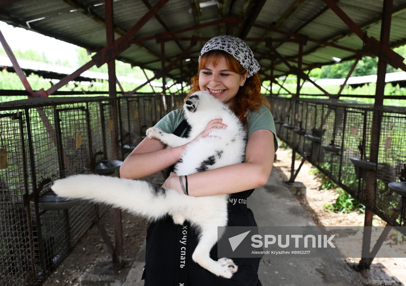 Russia Animal Farm