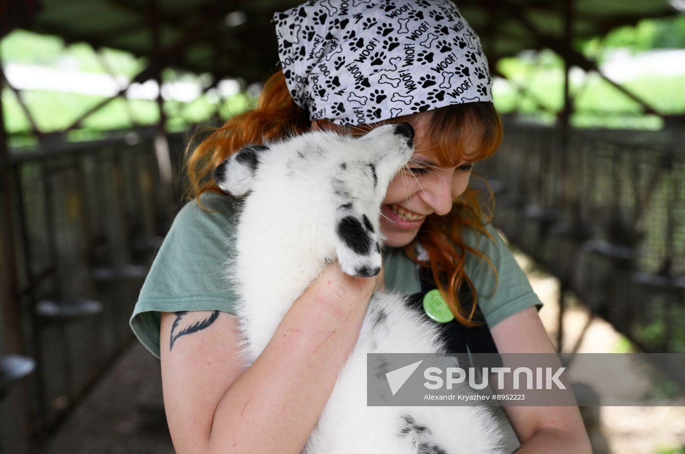 Russia Animal Farm