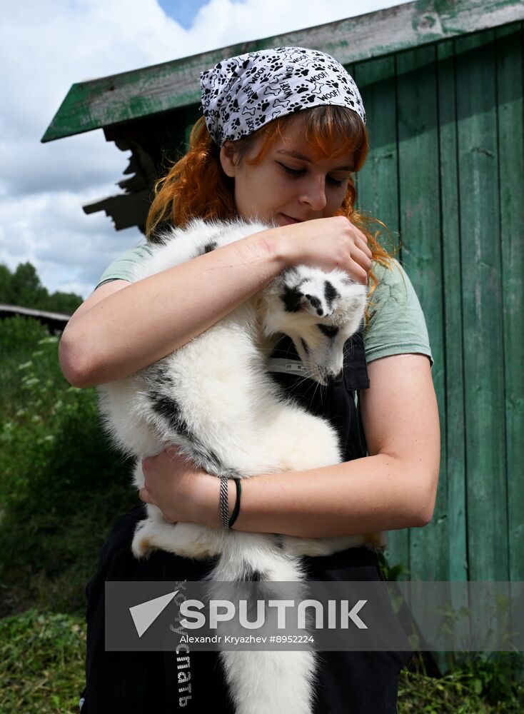 Russia Animal Farm