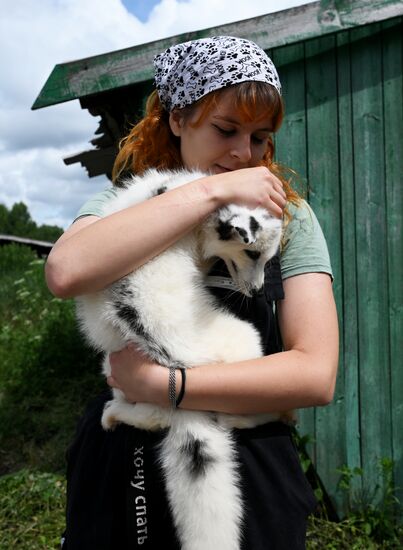 Russia Animal Farm