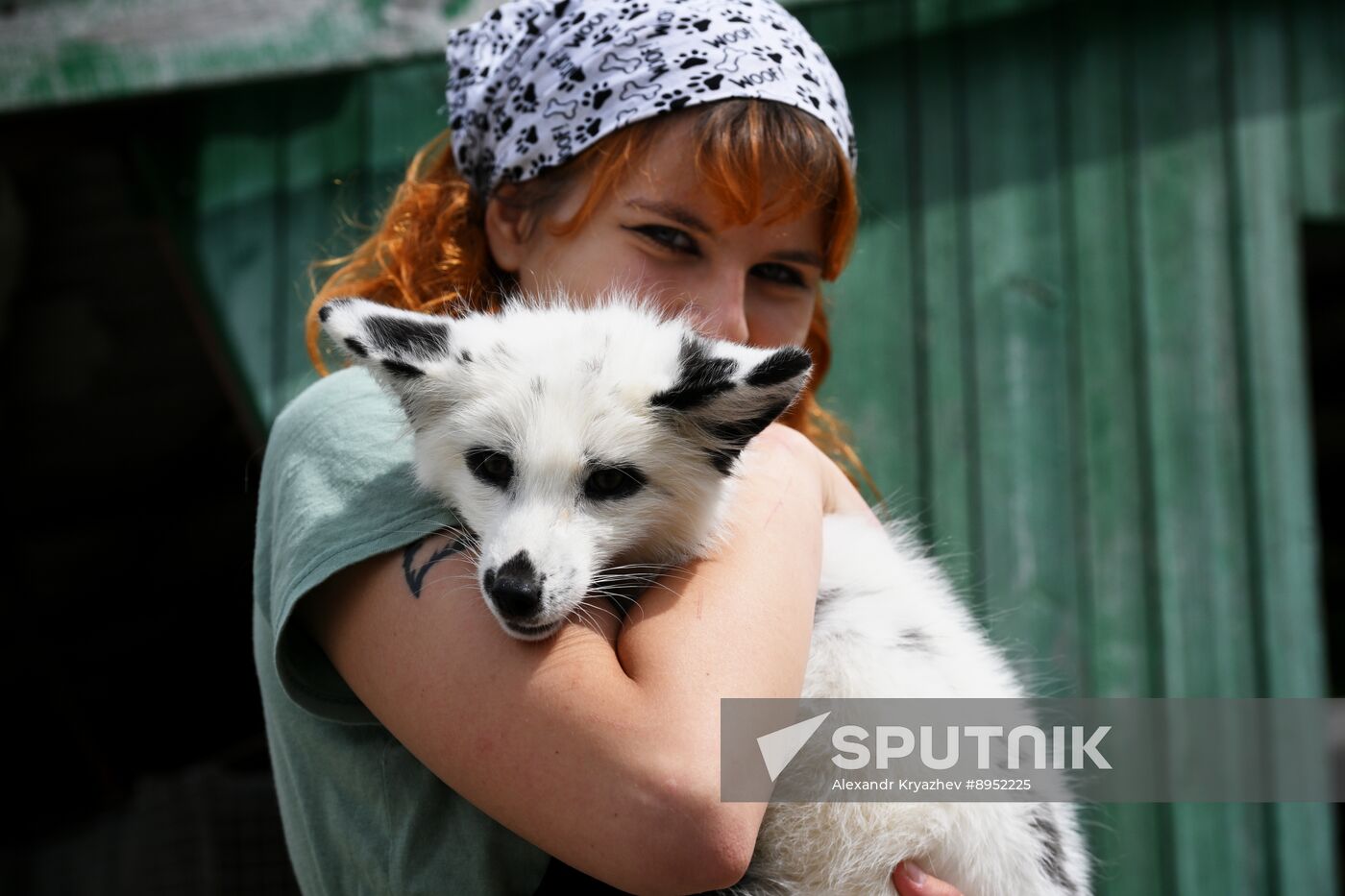 Russia Animal Farm
