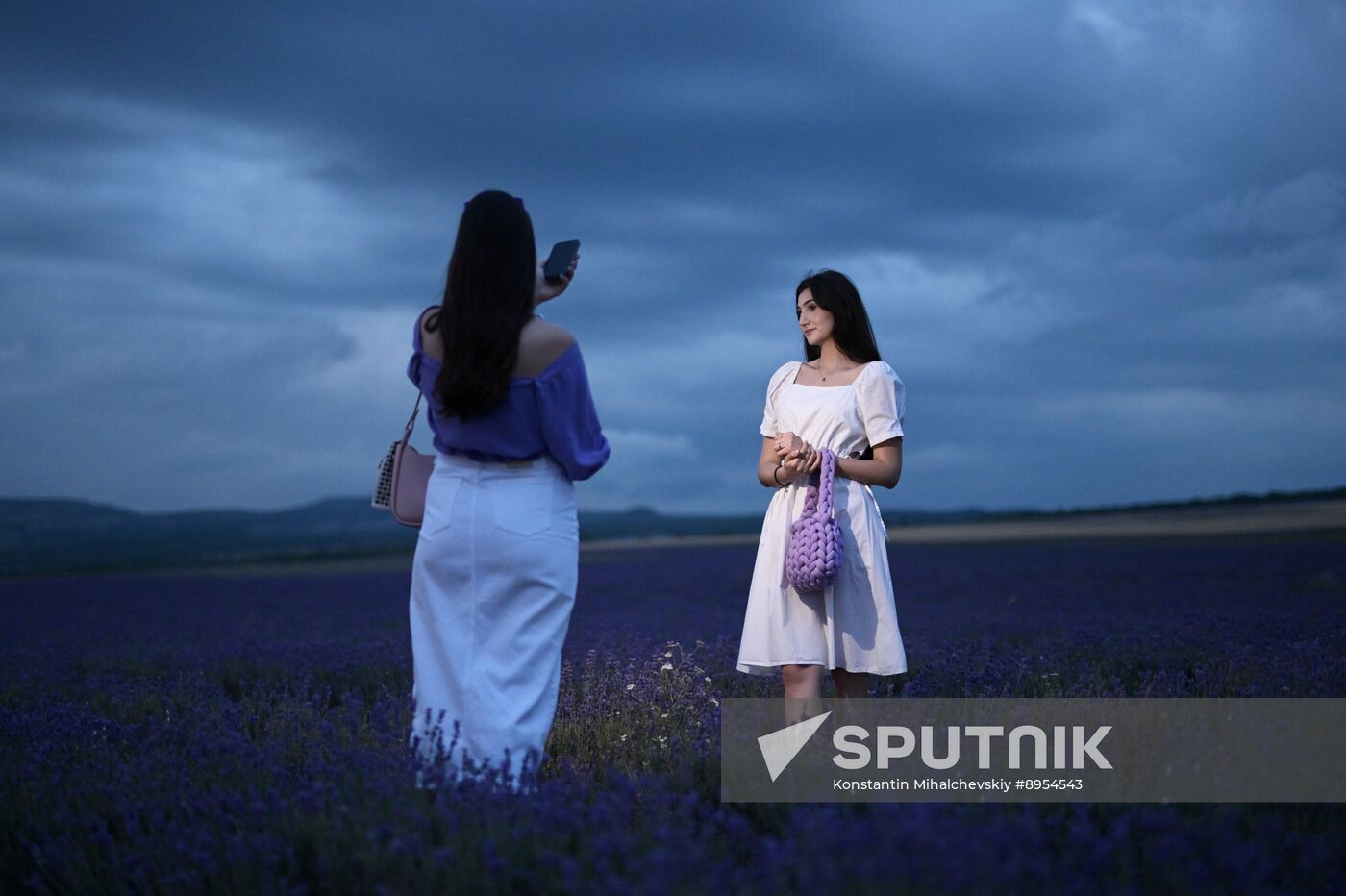 Russia Lavender Fields