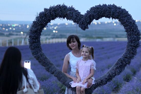 Russia Lavender Fields