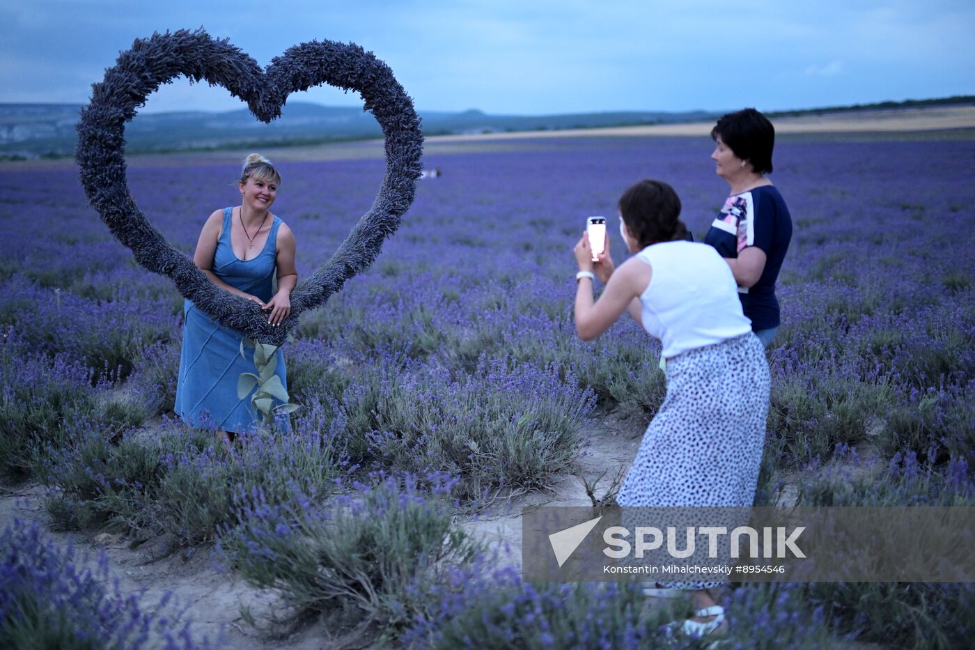 Russia Lavender Fields