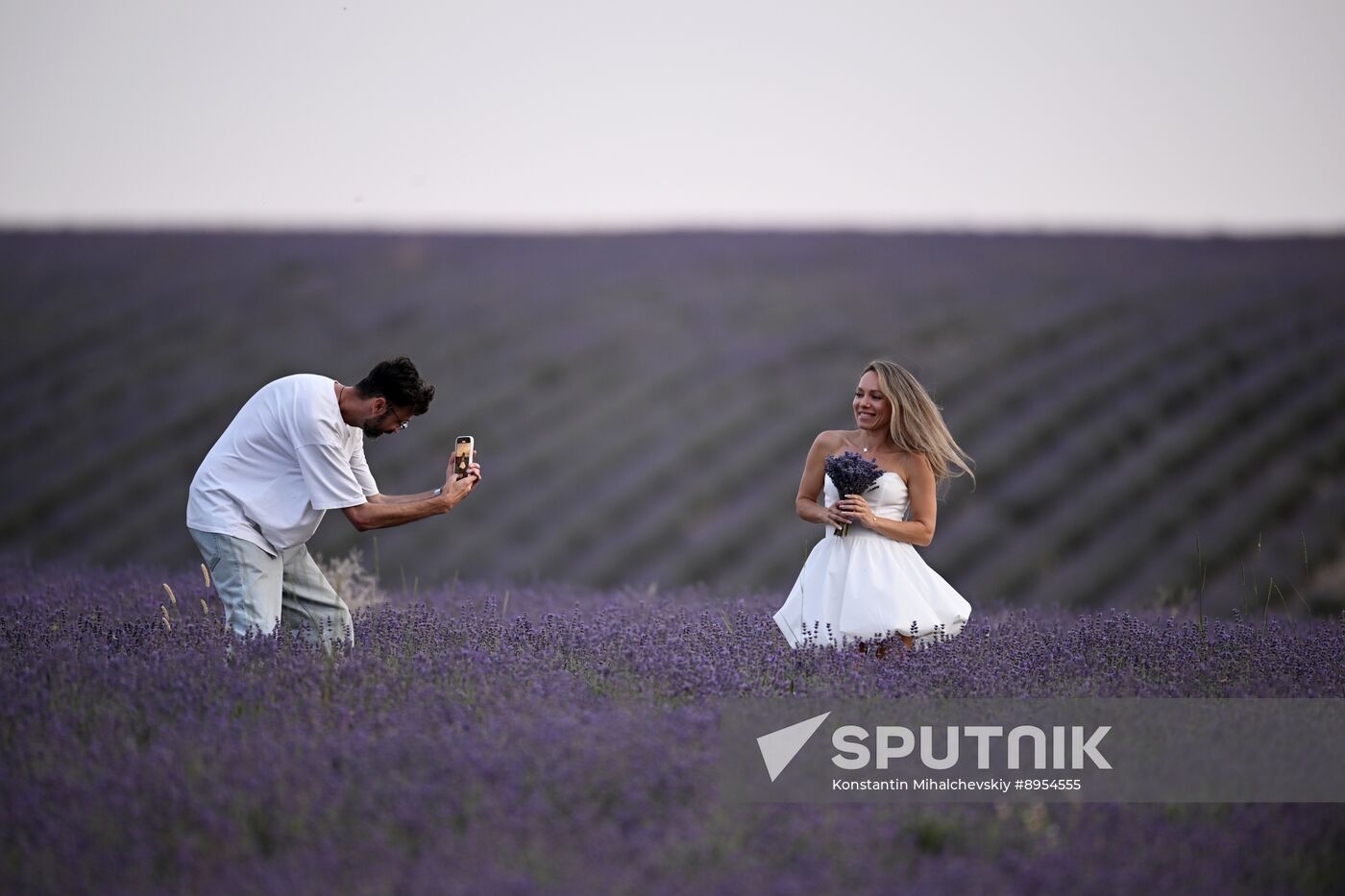 Russia Lavender Fields