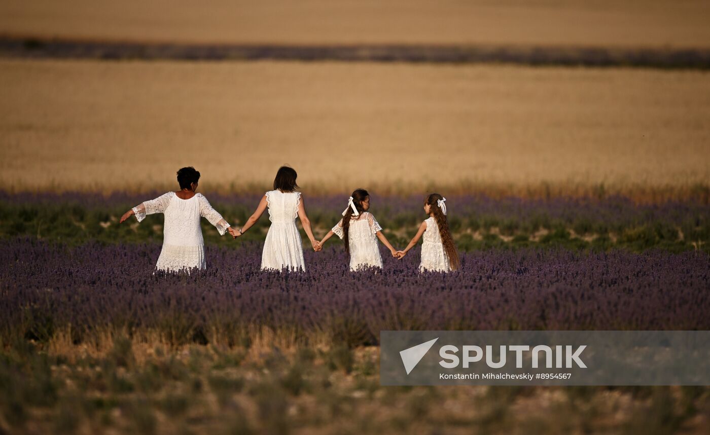 Russia Lavender Fields