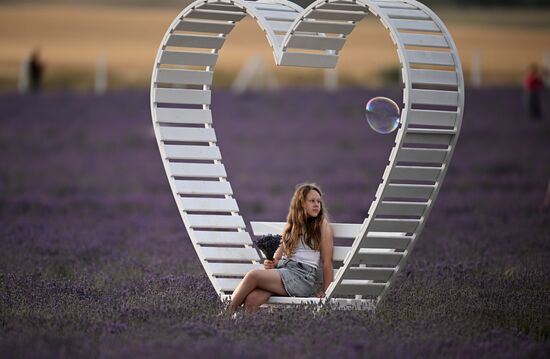 Russia Lavender Fields