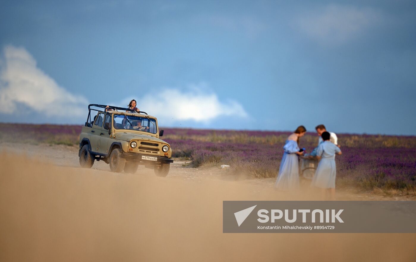 Russia Lavender Fields