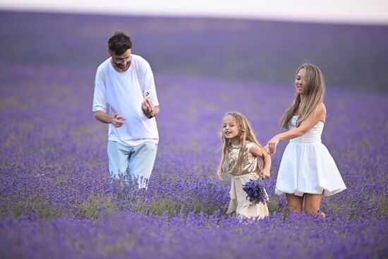 Russia Lavender Fields