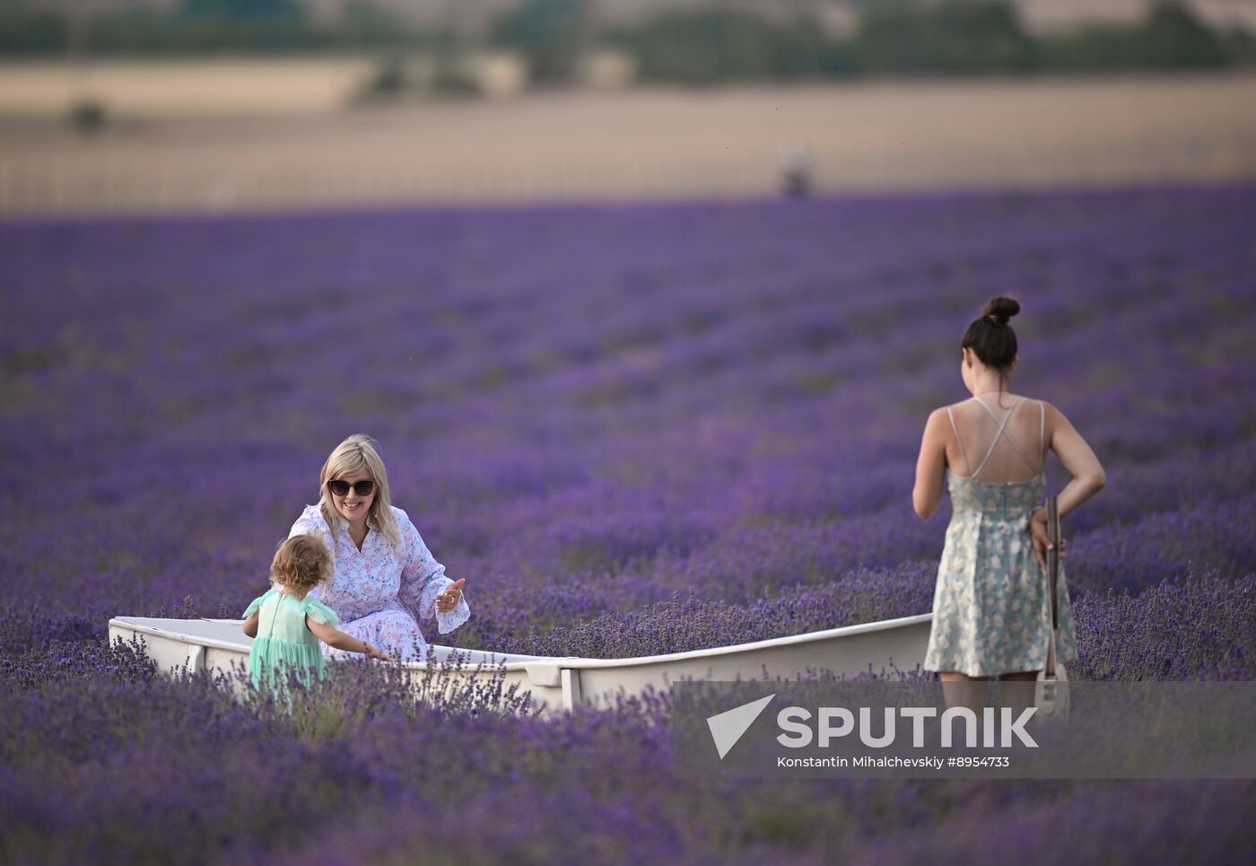 Russia Lavender Fields