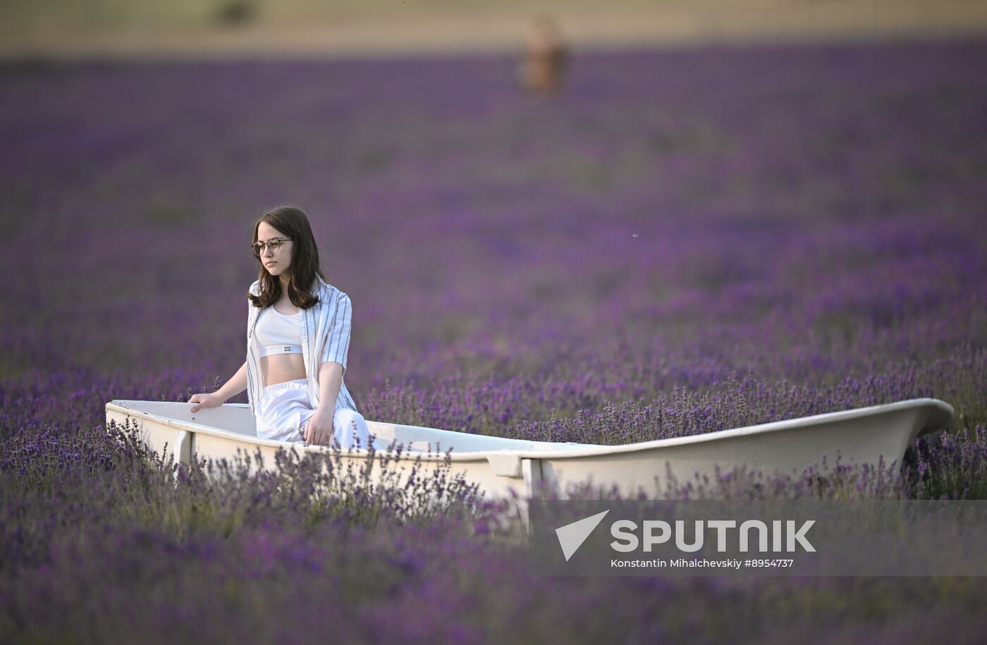 Russia Lavender Fields