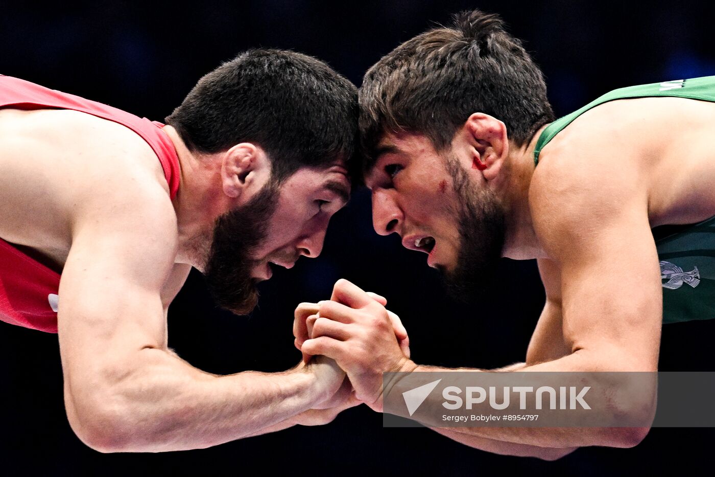 Russia Freestyle Wrestling Championships