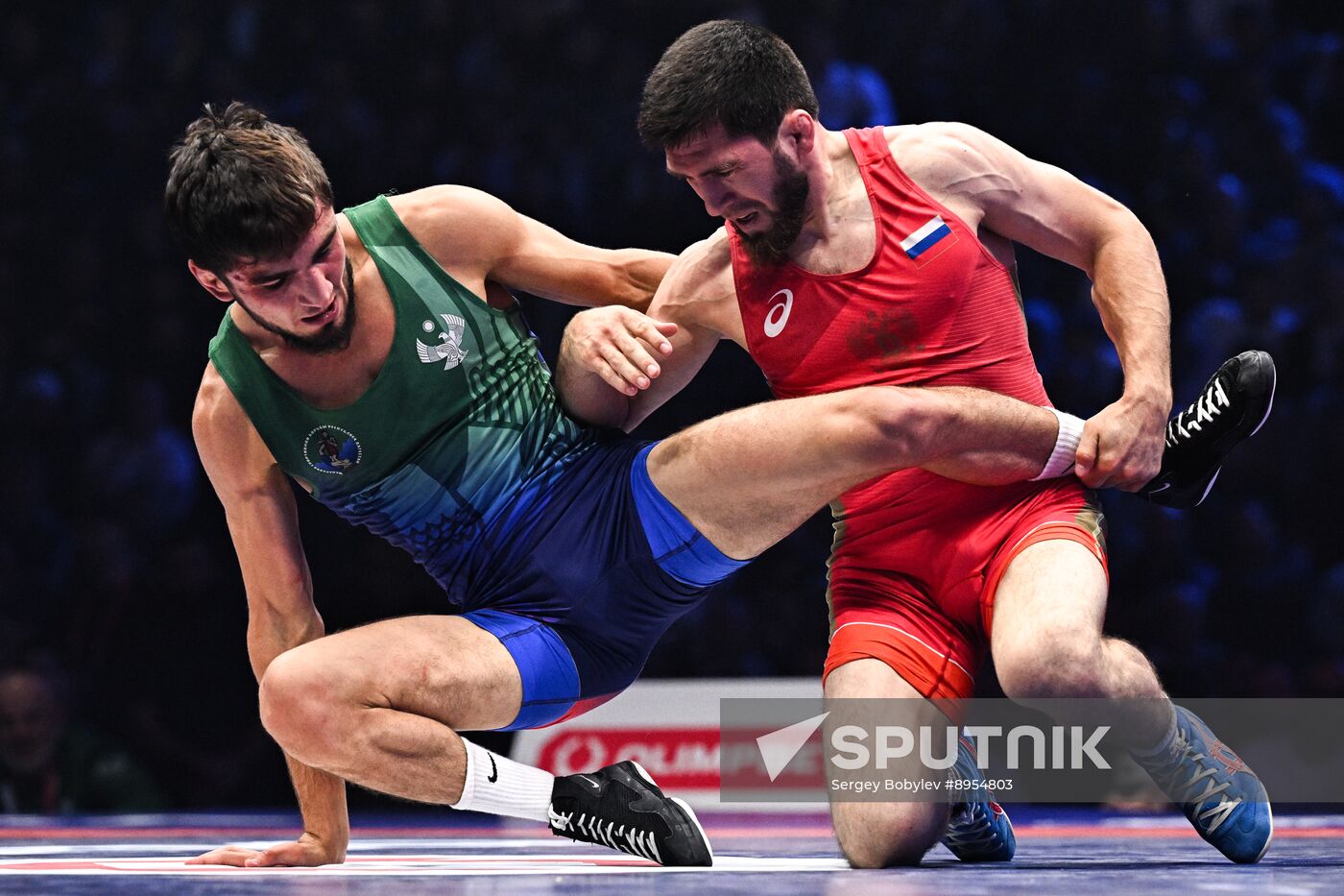 Russia Freestyle Wrestling Championships