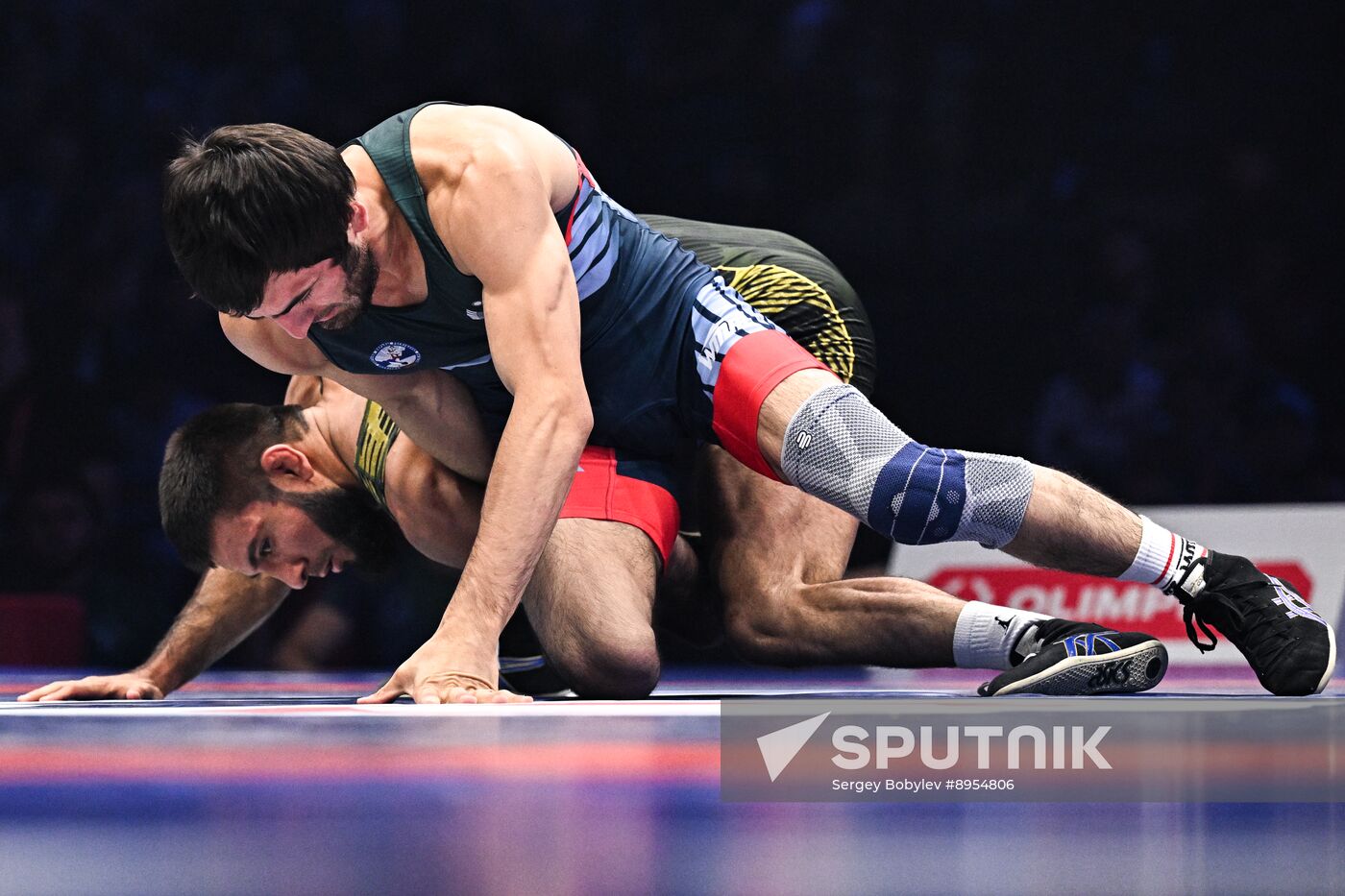 Russia Freestyle Wrestling Championships