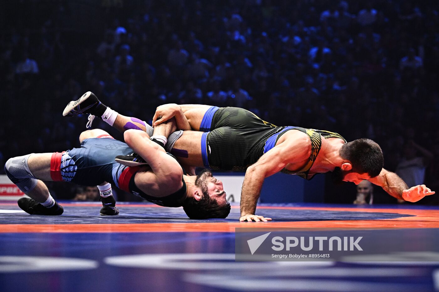 Russia Freestyle Wrestling Championships
