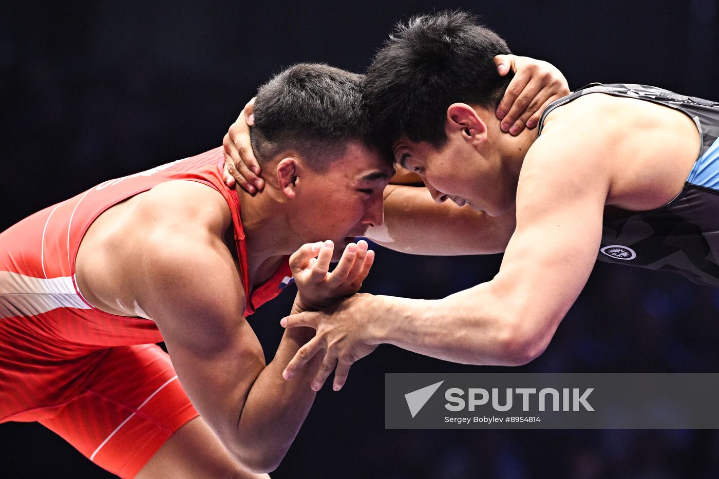 Russia Freestyle Wrestling Championships