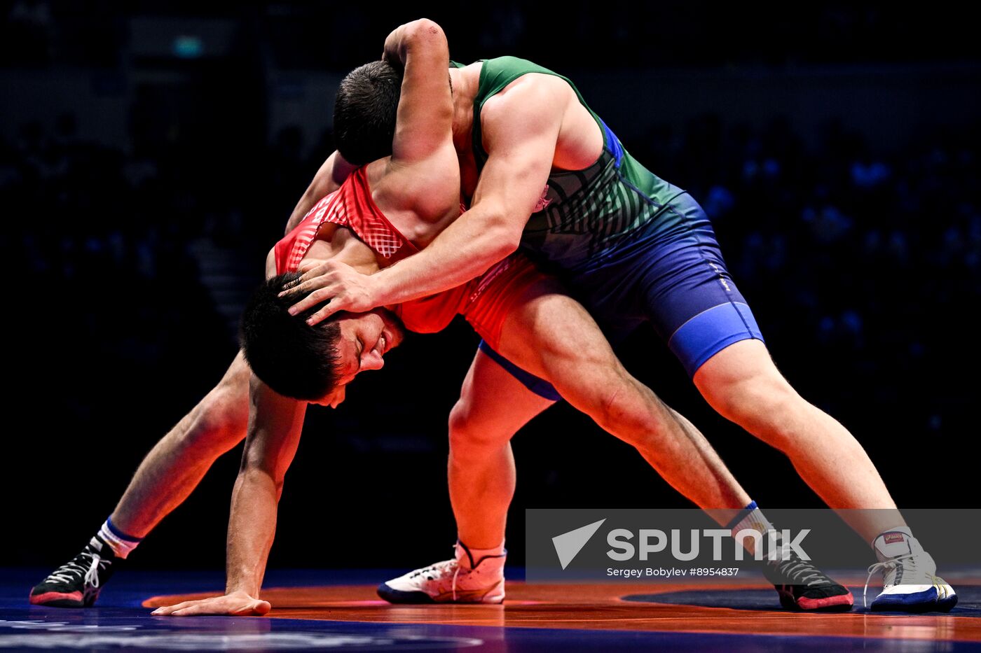 Russia Freestyle Wrestling Championships