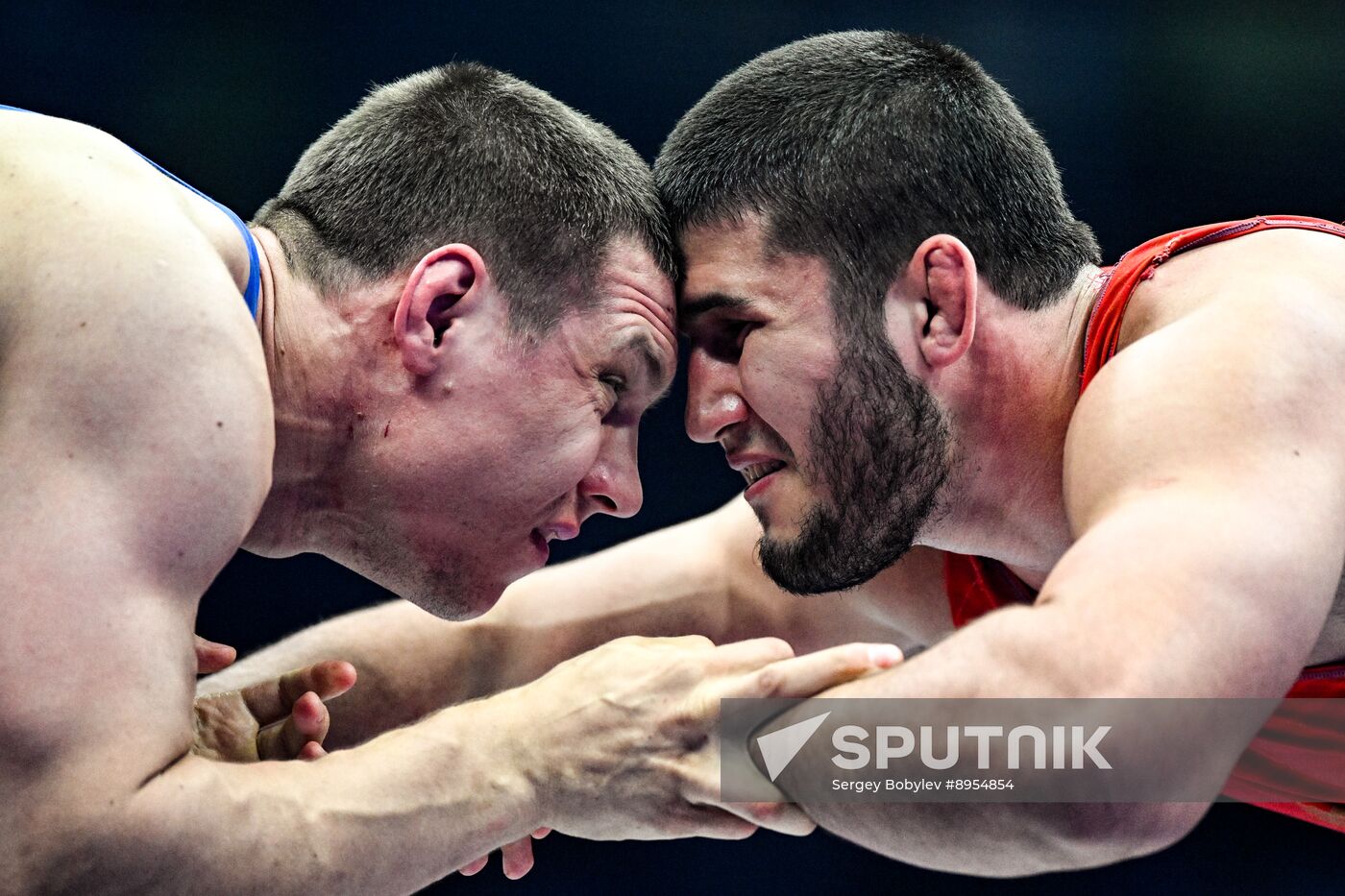 Russia Freestyle Wrestling Championships
