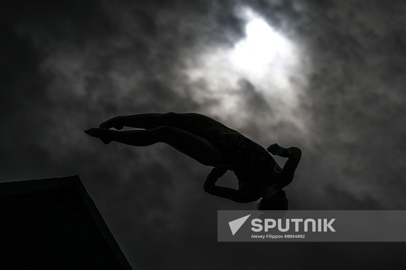 Russia Diving Kremlin Cup