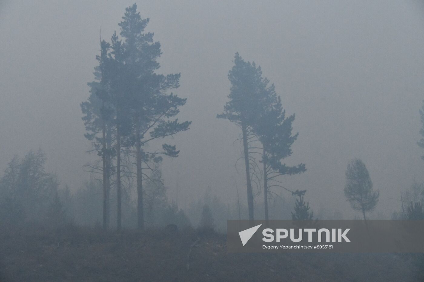 Russia Wildfires