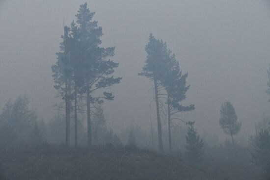 Russia Wildfires