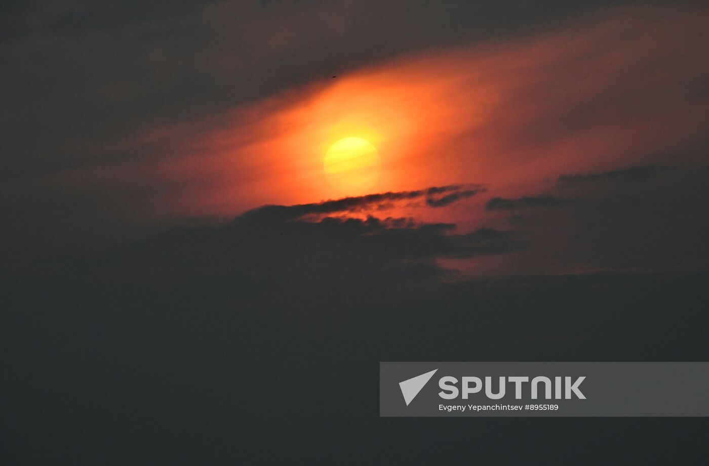 Russia Wildfires