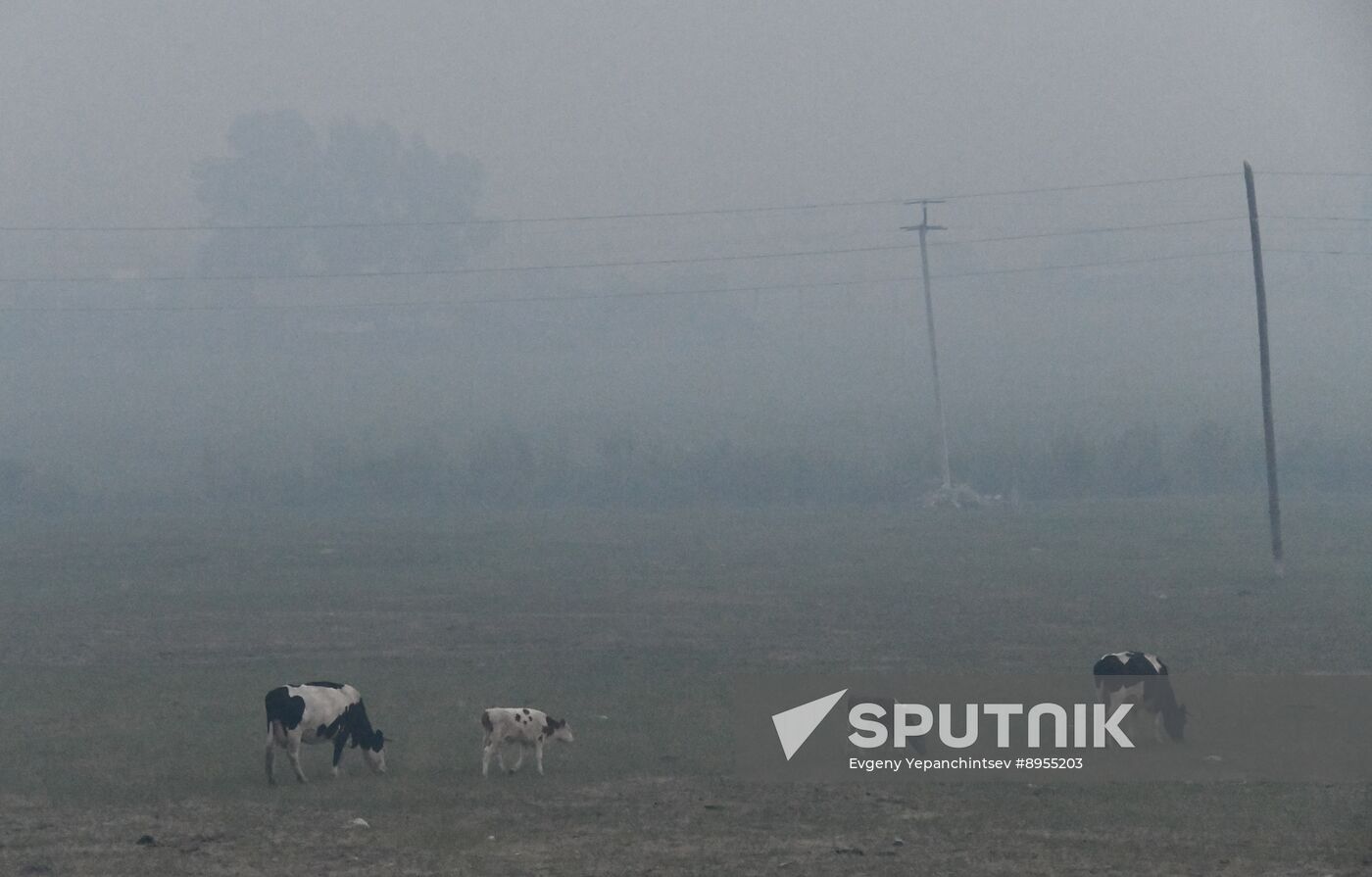 Russia Wildfires