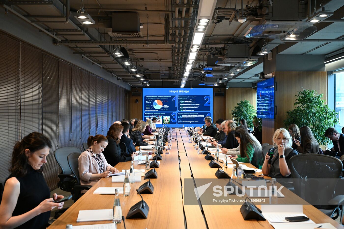 Russia Digital Development Ministry Public Council