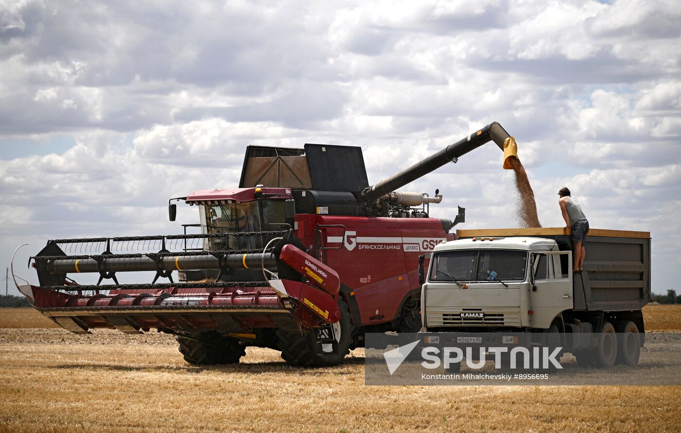 Russia Agriculture Wheat Harvesting
