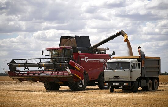 Russia Agriculture Wheat Harvesting