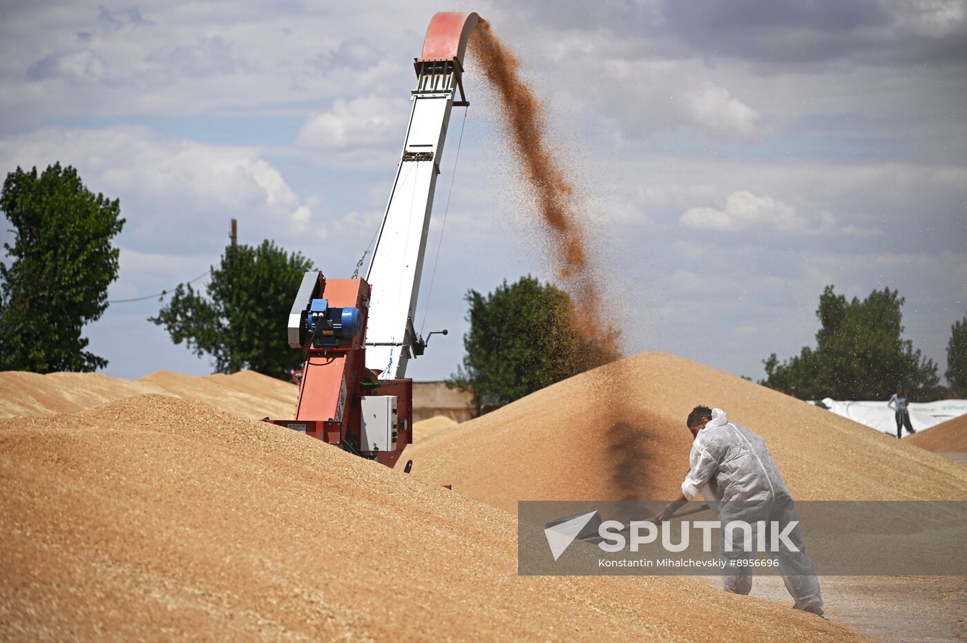 Russia Agriculture Wheat Harvesting