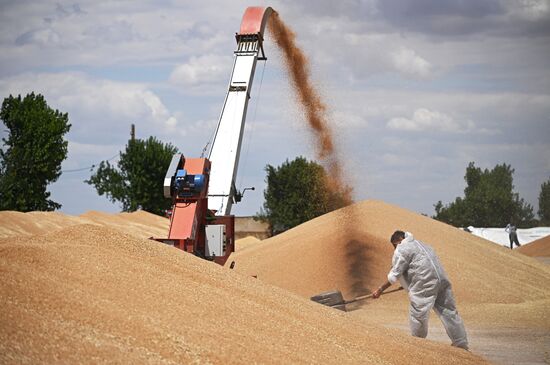 Russia Agriculture Wheat Harvesting