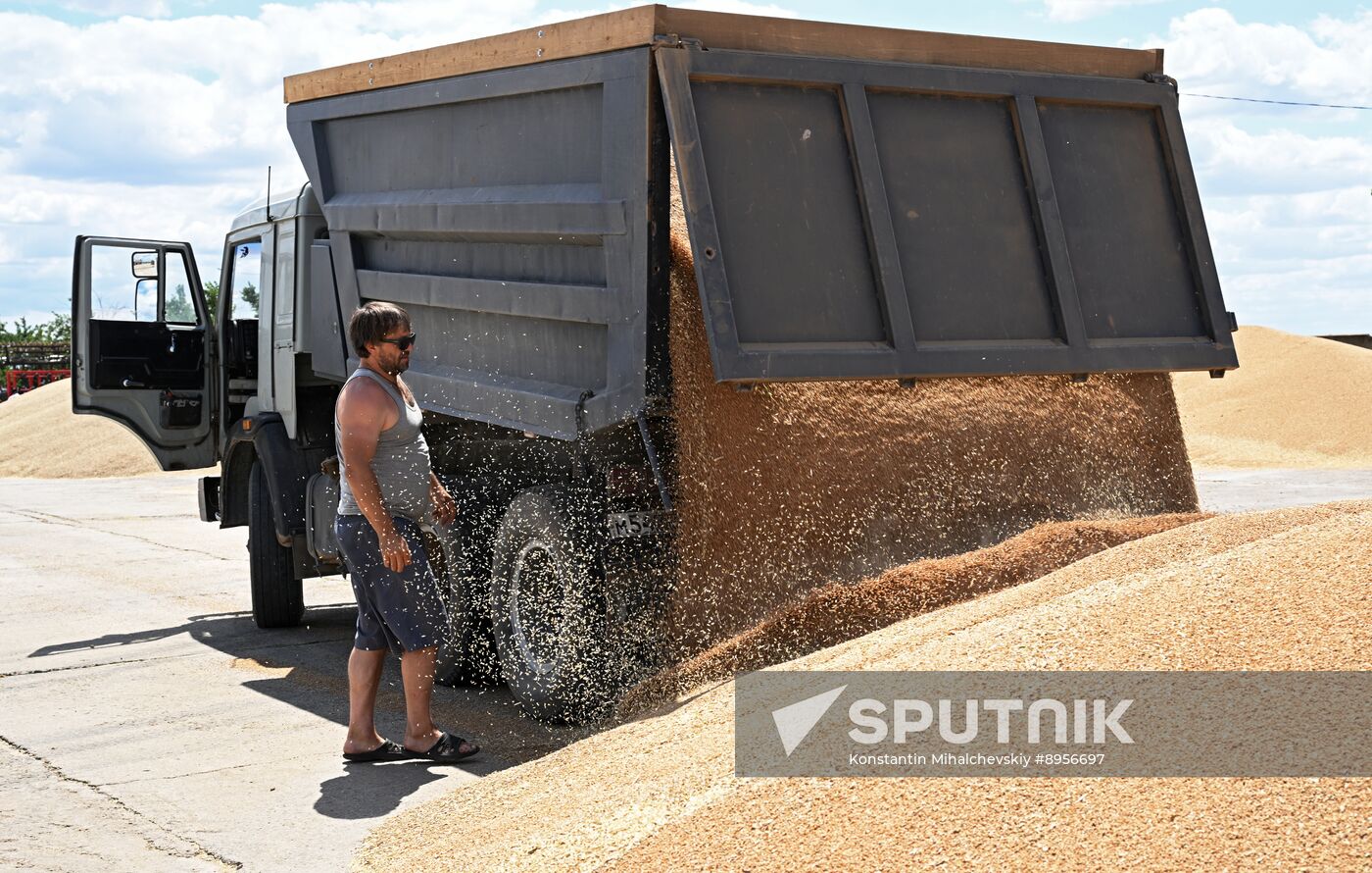 Russia Agriculture Wheat Harvesting